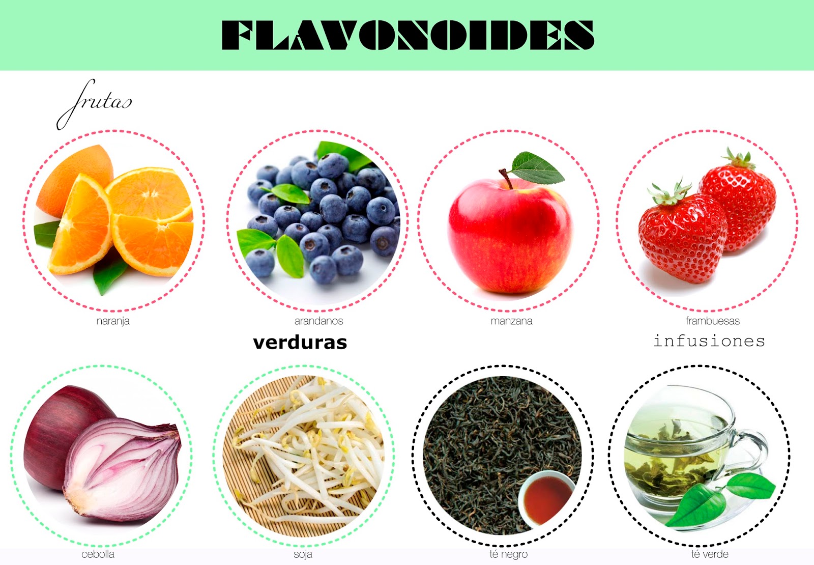 Flavonoides